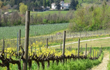Enotropea Tours1