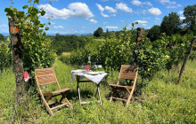 Enotropea Tours9