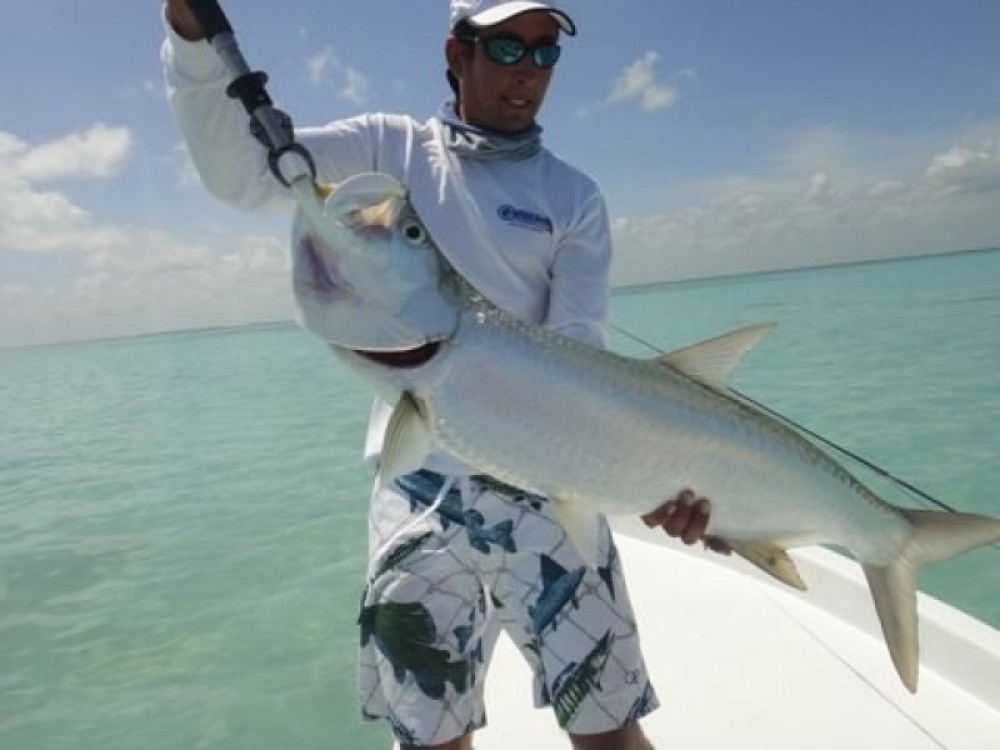 GoFish Belize