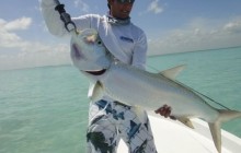 GoFish Belize