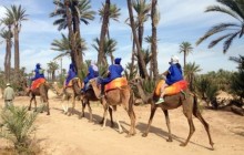 Camel Ride In Oasis Palmeraie Marrakesh