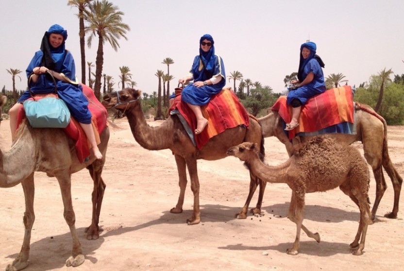 Camel Ride In Oasis Palmeraie Marrakesh