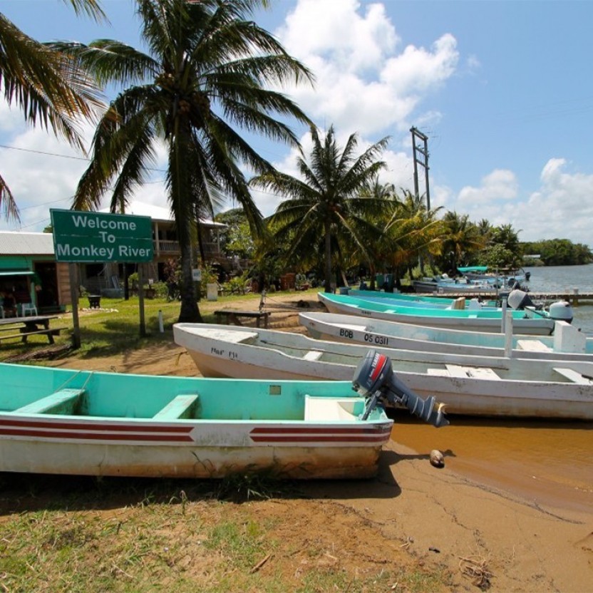 Monkey River Tour