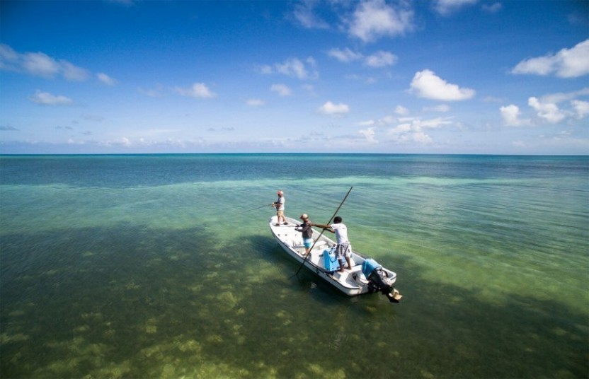 Light Tackle: Spin Fishing (Lagoon) Half Day