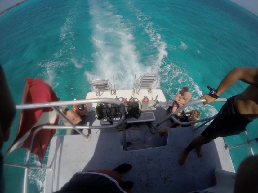 Glover’s Reef: 3 Dives