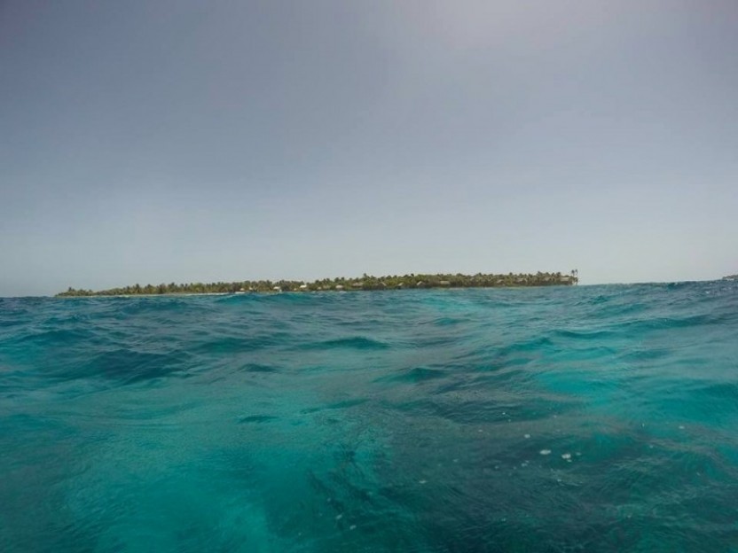 Shark Hole: 3 Dives