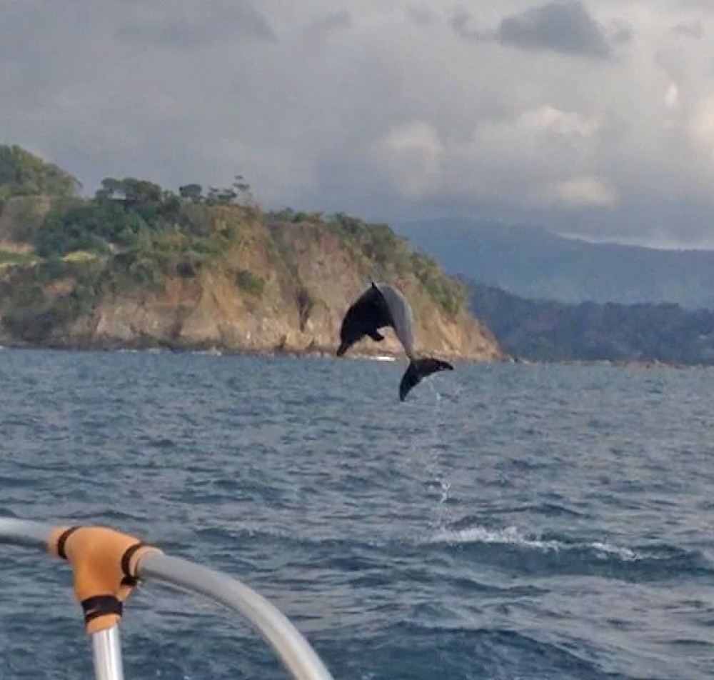 Kayak Jaco Project Expedition