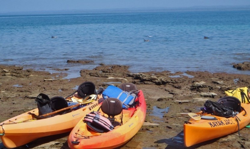 Sunset Night Tour in Outrigger Canoe (Seasonal)