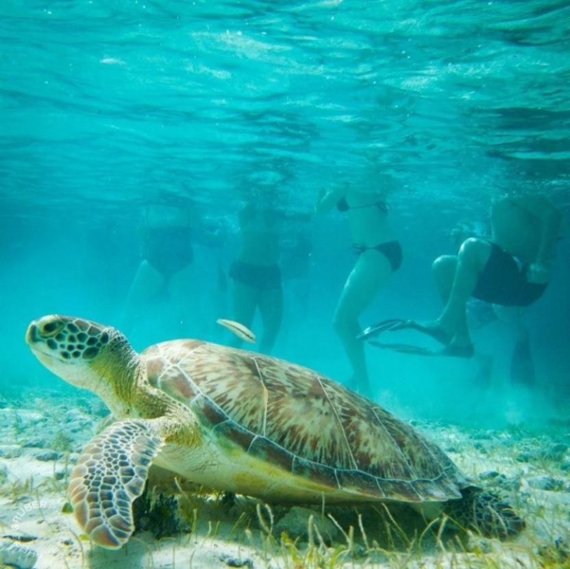 Caye Caulker