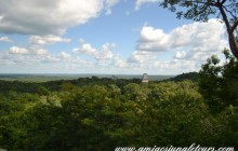 Amigos Jungle Tours22