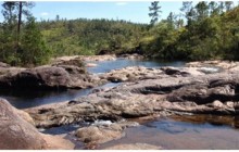 Amigos Jungle Tours30