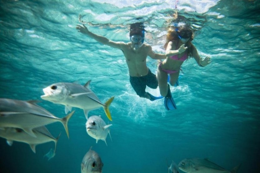 Caye Caulker Alternative Half day Tour (North Area/South Area)