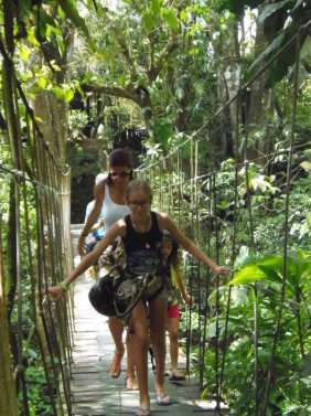 Canopy / Zip line