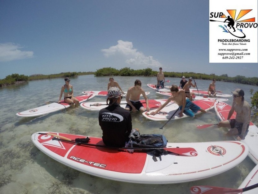 Mangrove Island Eco Tour