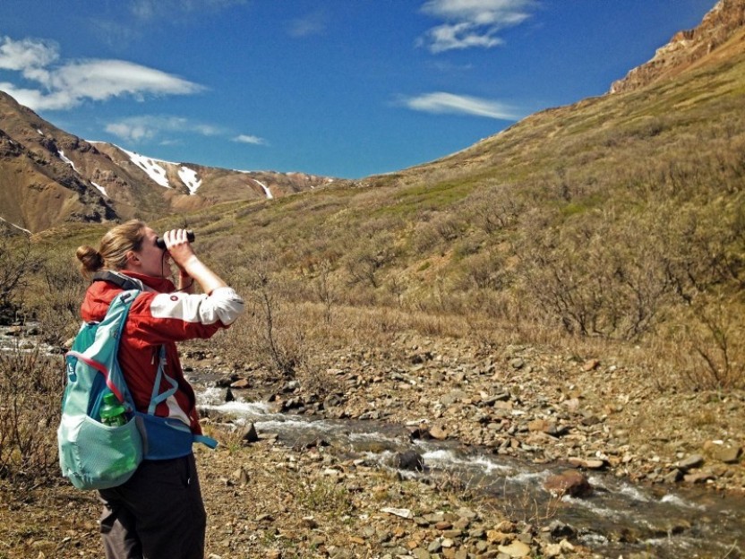 Alaska Salmon Run Adventure - 20 Days