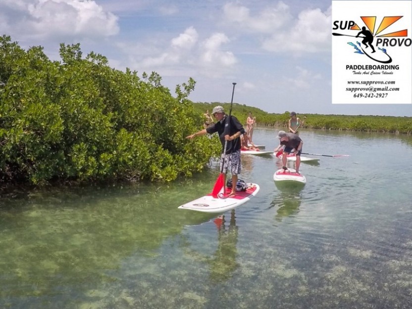 Guided SUP Tours