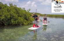 Turtle Eco Tour on SUPs or Dbl. Kayaks