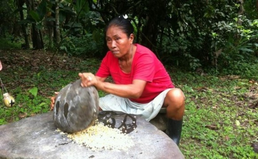 Talamanca Indigenous Reserve