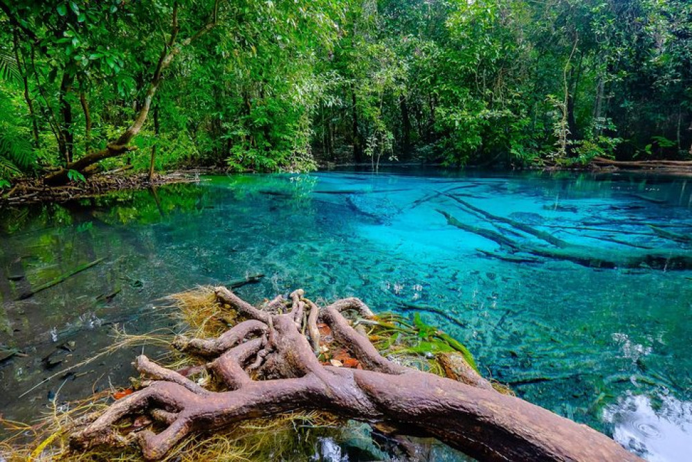Amazing Full-Day Nature Discovery in Krabi
