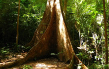 Asian Trails Ltd.3