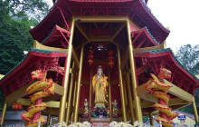 Asian Trails Ltd.8