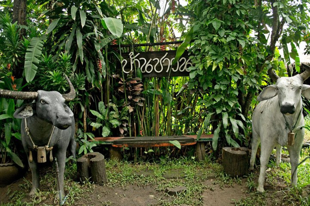 Chiang Mai Farm Life & Khao Soy Tasting on a Half-Day Boat Tour