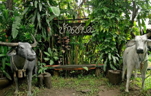 Asian Trails Ltd.1