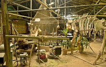 Asian Trails Ltd.4