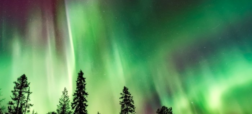 Northern Lights Snowshoe Adventure
