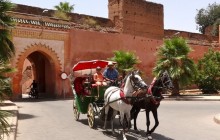 Horse Ride Carriage In Marrakesh
