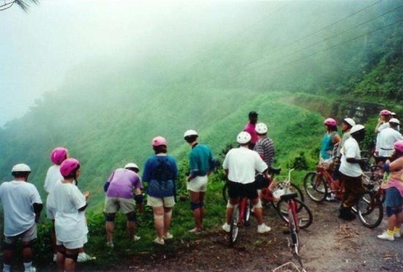 Blue Mountain Bicycle Tour from Runaway Bay
