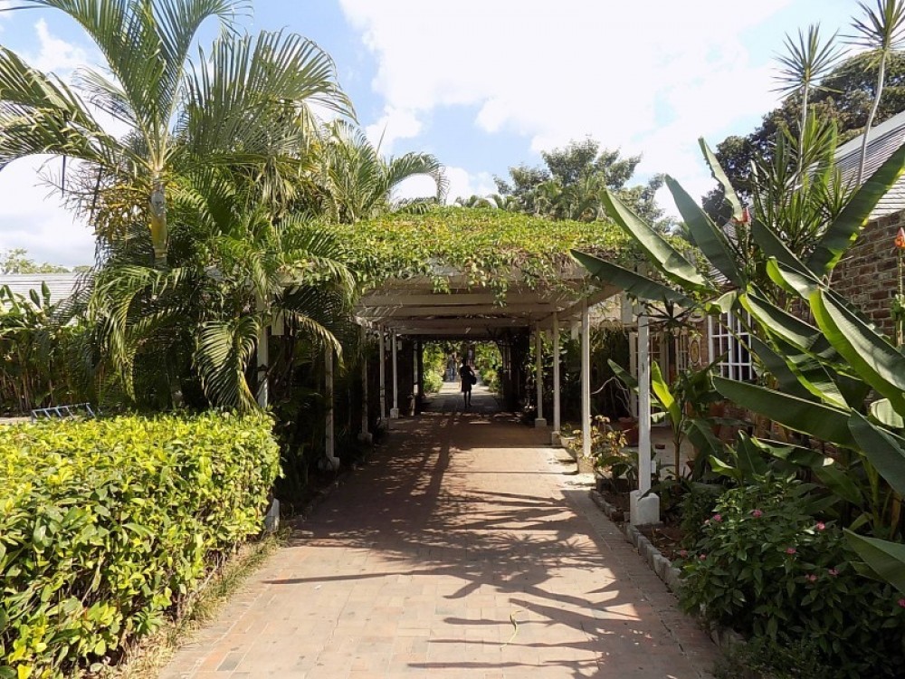 Devon House & Ice Cream from Kingston Kingston Project Expedition