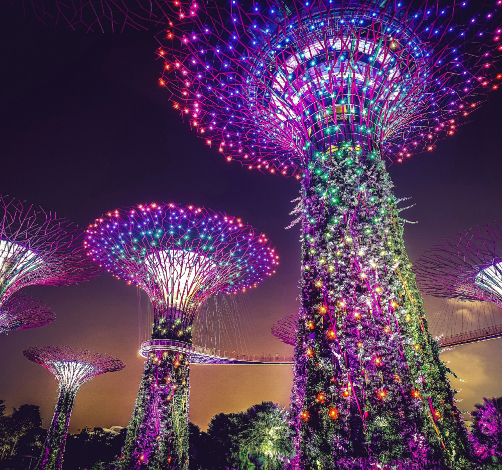 Singapore: Entry Ticket to Gardens by the Bay and Jurassic World