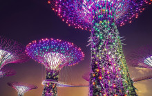 Discova Day Tours and Activities1