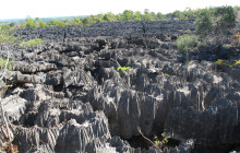 FOSA TRAVEL11