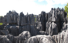 FOSA TRAVEL13
