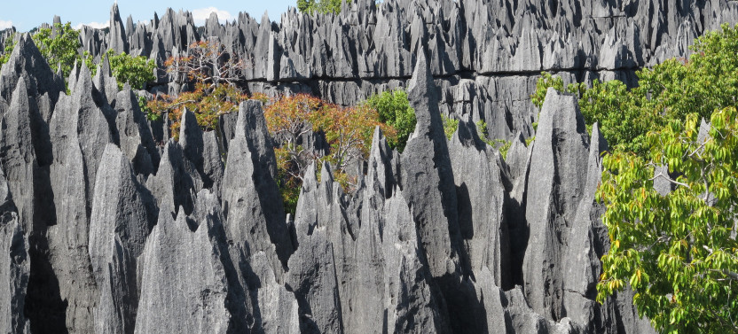 14- Day: Discover the Unique in Madagascar - Lemurs, Baobabs, and Tsingy