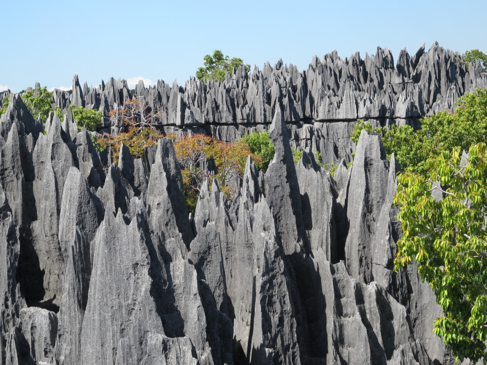 14- Day: Discover the Unique in Madagascar - Lemurs, Baobabs, and Tsingy