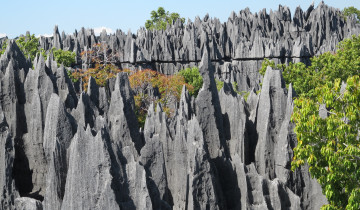 A picture of 14- Day: Discover the Unique in Madagascar - Lemurs, Baobabs, and Tsingy