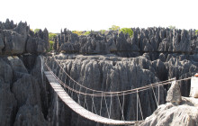 FOSA TRAVEL1