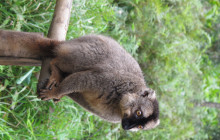 FOSA TRAVEL21