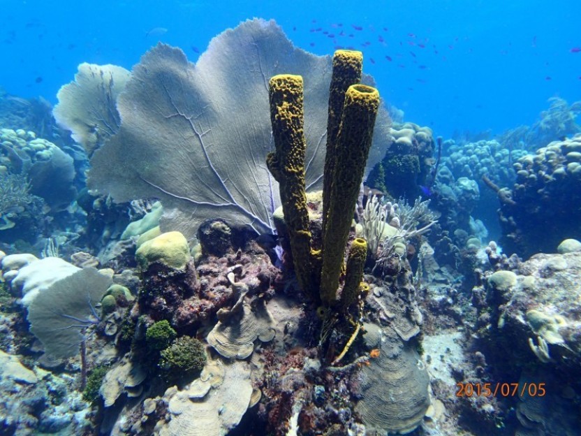 PADI Discover Scuba Diving in Punta Cana