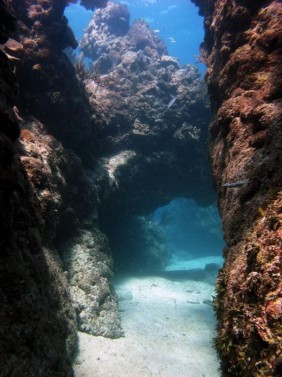 PADI Discover Scuba Diving in Punta Cana