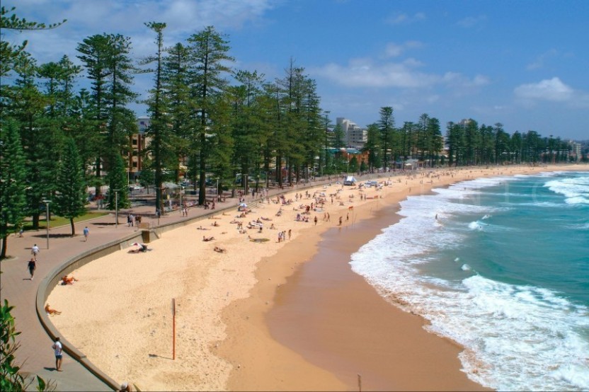 Private Sydney City Tour with Sydney Opera House, Bondi & Manly