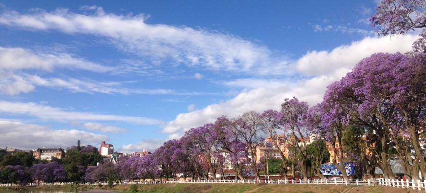 12 Days: South of Madagascar Tour