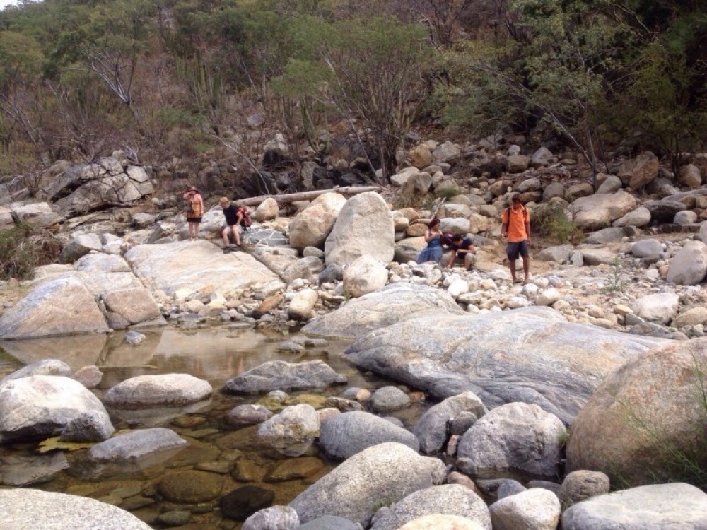 Private Tour Baja Jeep 4x4 Adventure Cabos Cabo San Lucas Project