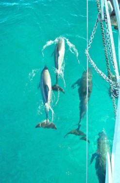 Private Day Charter