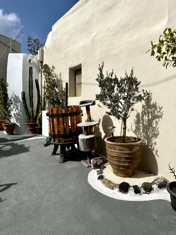 Santorini Golden Tours