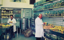 Antichi Sapori D'Amalfi2