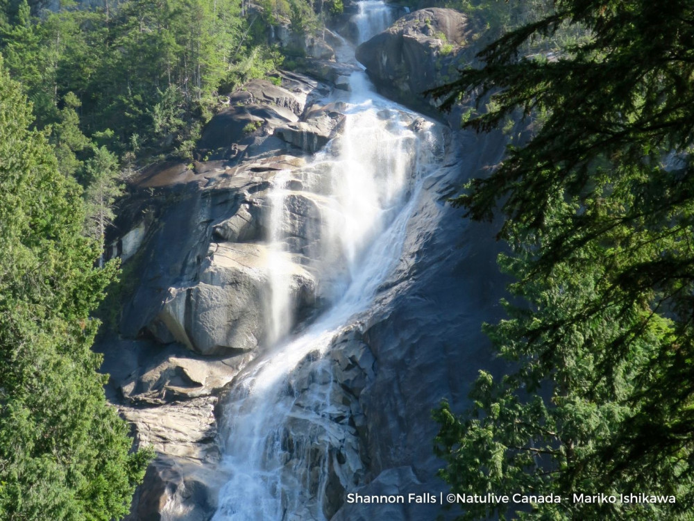 Discover Whistler & Sea to Sky Gondola